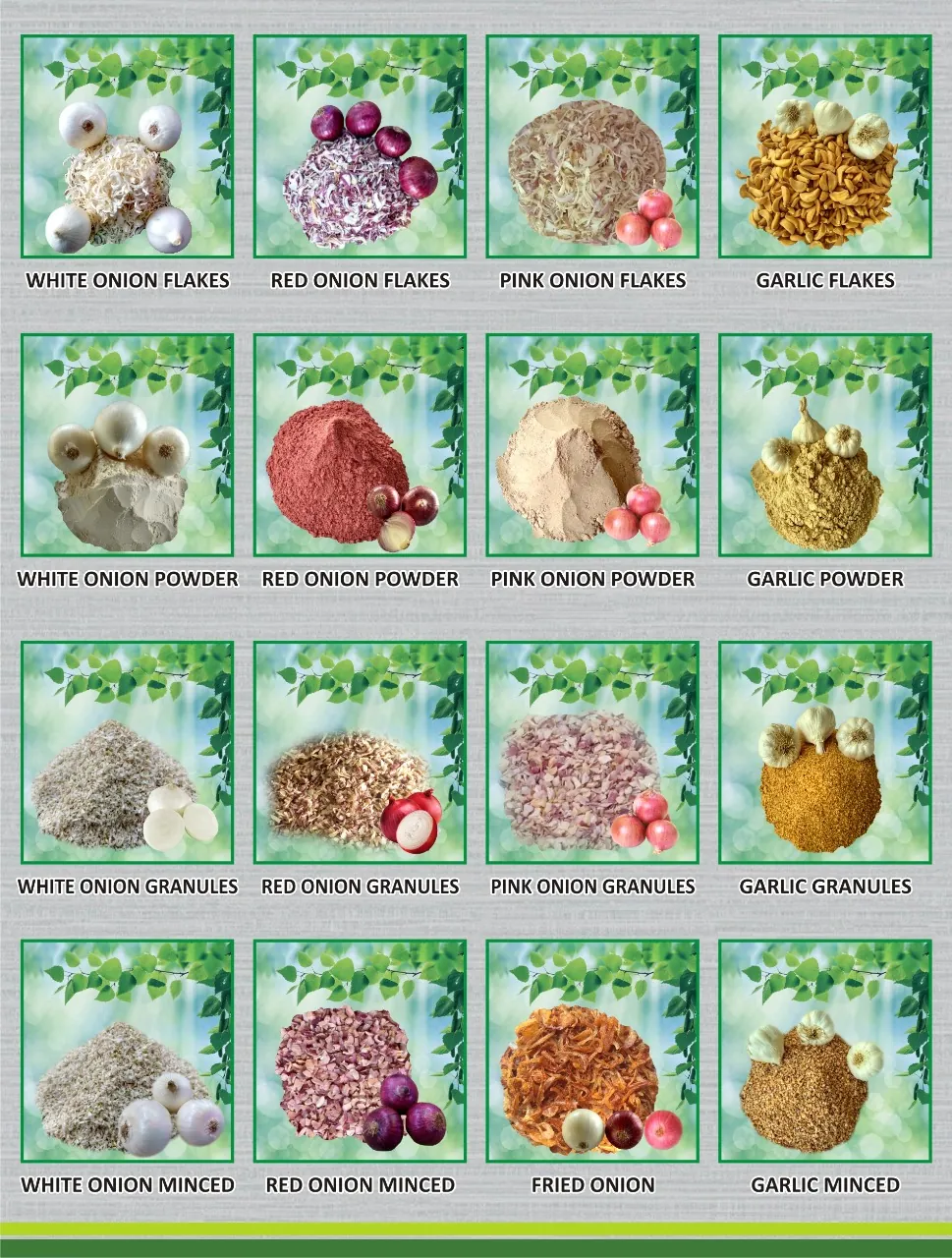 Catalogue of dehydrated onion and garlic products: flakes, powder, granules, minced and fried onion