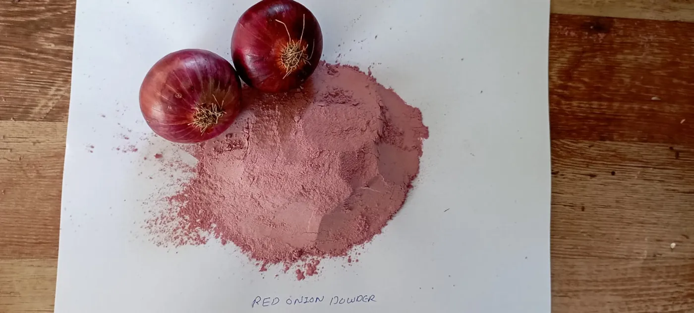 Dehydrated red onion powder with two fresh red onions