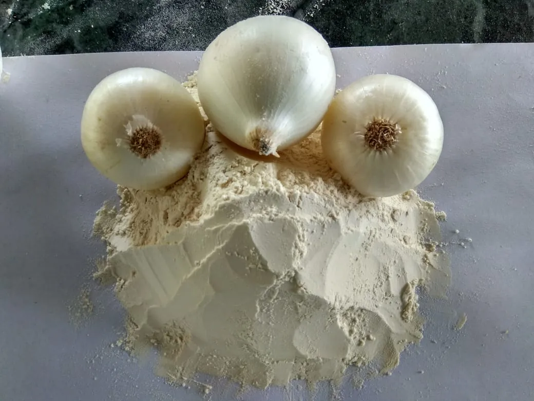 Dehydrated white onion powder with fresh white onions