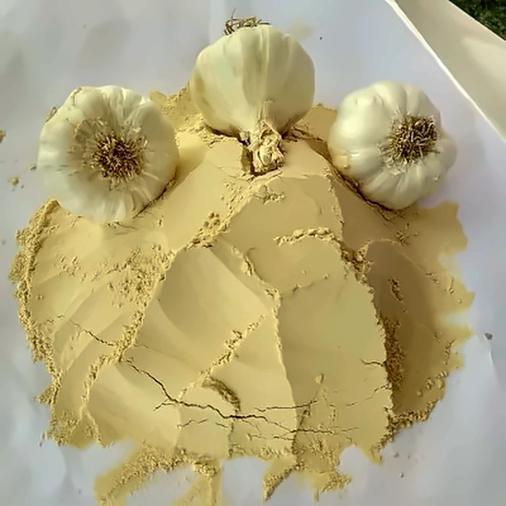 Dehydrated Garlic Powder in a wooden bowl