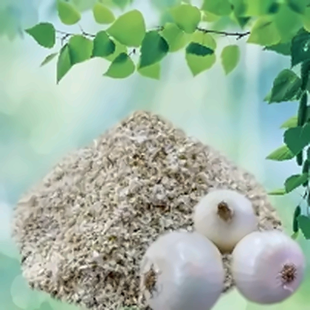 Dehydrated White Onion Minced in a wooden bowl